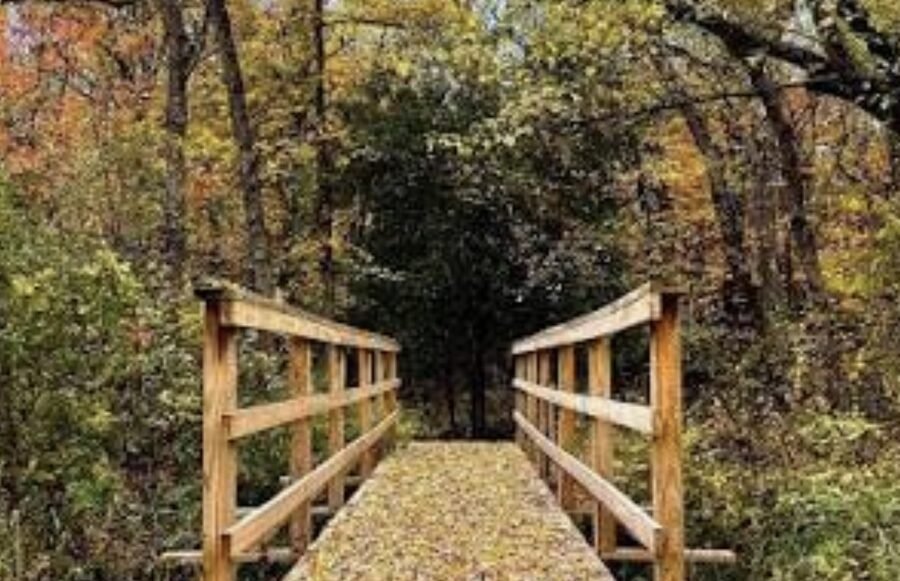 Beaver Run Park and its beaver pond trail, Fairview, Texas — SusyQ's Cleaning serves homes throughout Fairview