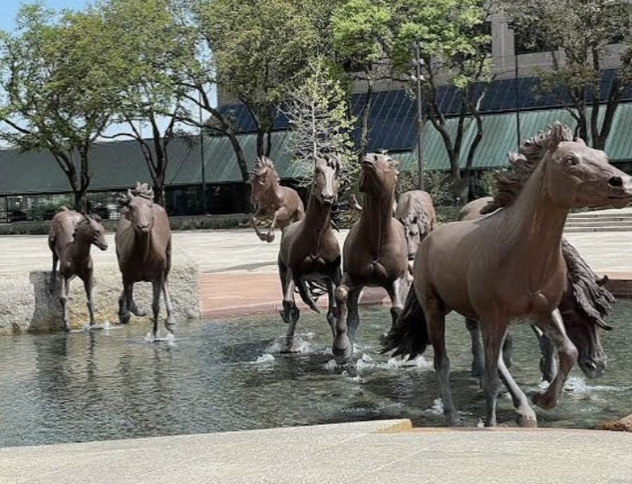 The Mustangs of Las Colinas at Williams Square, Irving, Texas — SusyQ's Cleaning serves homes throughout Irving