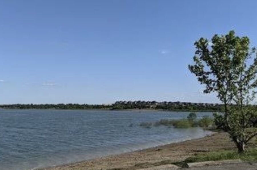 Brockdale Park on Lavon Lake, home of the Blackland Prairie Raptor Center, Lucas, Texas — SusyQ's Cleaning serves homes throughout Lucas